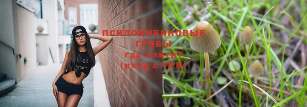 дмт Алзамай