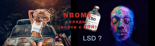 дмт Алзамай