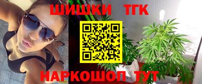 винт Сланцы