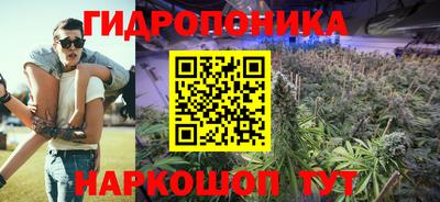 винт Сланцы